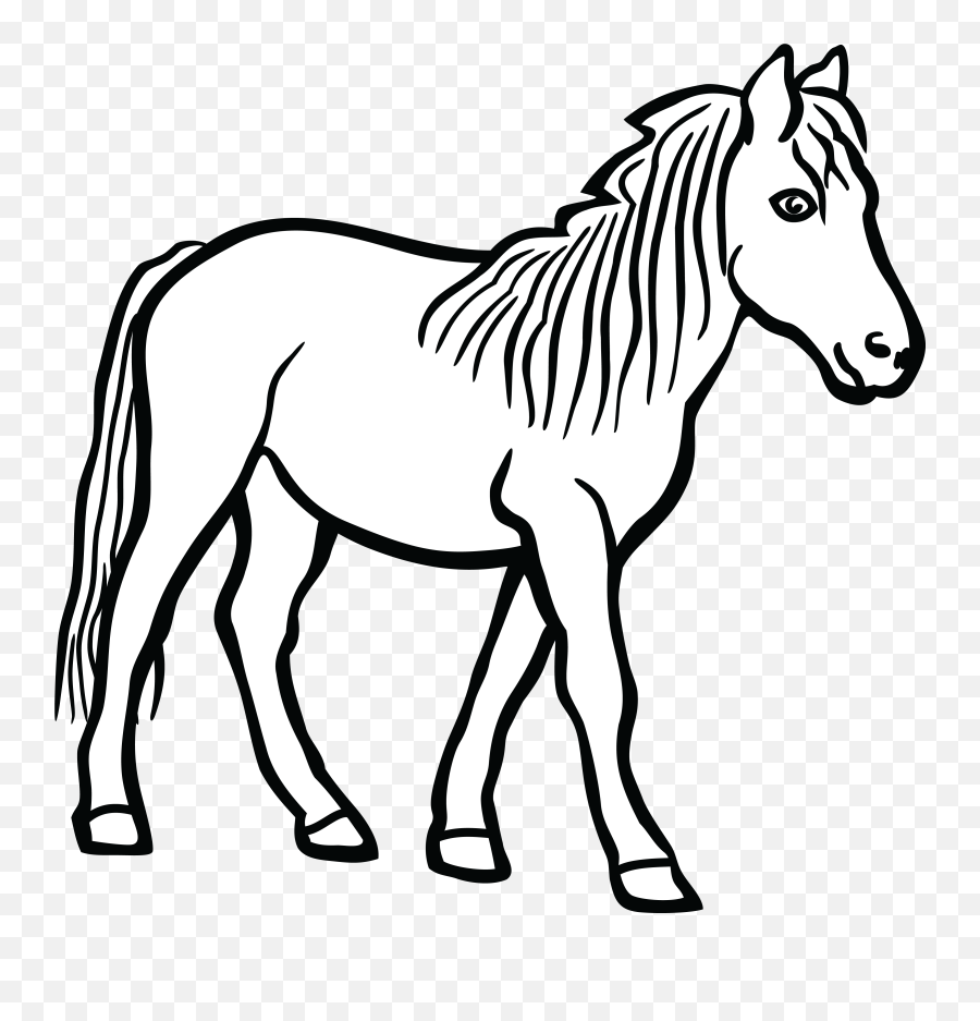 Horse Clipart Black And White Transparent - Horse Black And White Clip Art Png,White Horse Png
