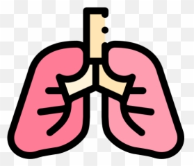 Lungs - Free healthcare and medical icons Case Reports And Research Practices In Medicine png