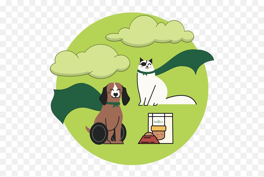 Houlton Humane Society - Freshpet Dog Png,Pets Icon