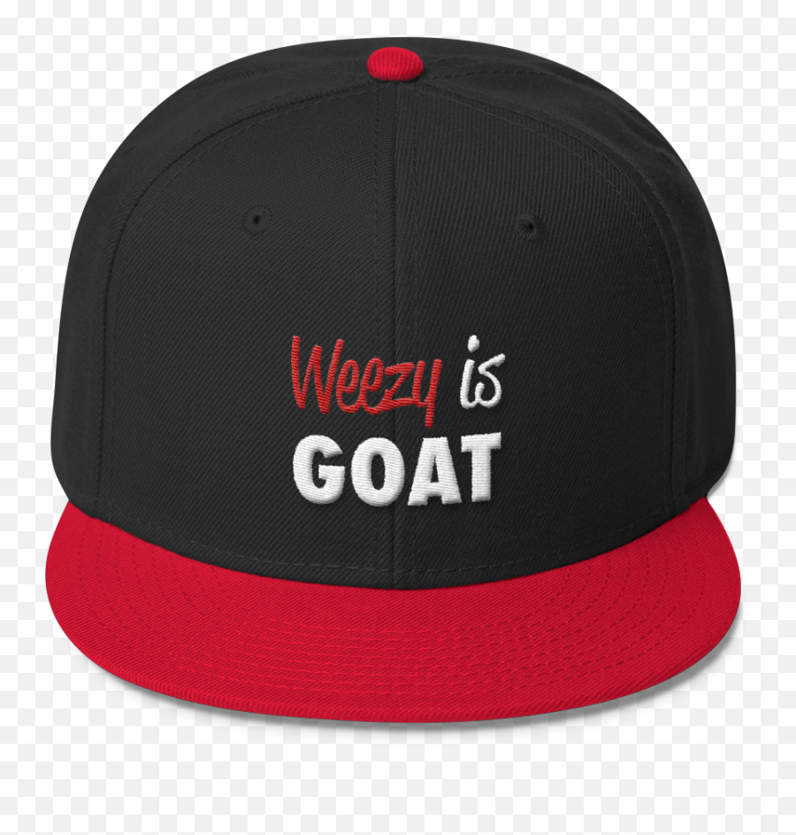 Weezy Is Goat Wool Blend Snapback - Protect And Survive Leaflet Png,Lil Wayne Png