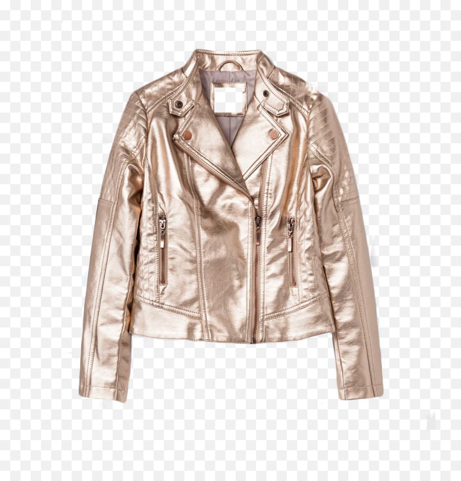 Winter Sale Collection In Genuine Leather Shiny Jackets - Solid Png,Icon Women Motorcycle Jackets