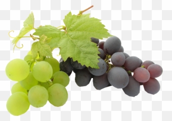 Black Grapes Png Transparent Background