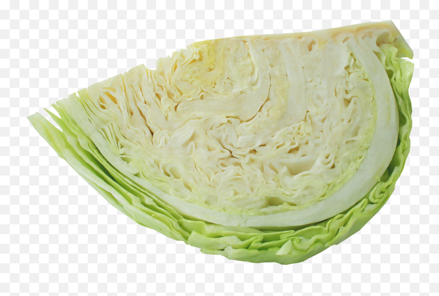 Half Cabbage Png Image For Free Download - Cabbage Png,Cabbage Png