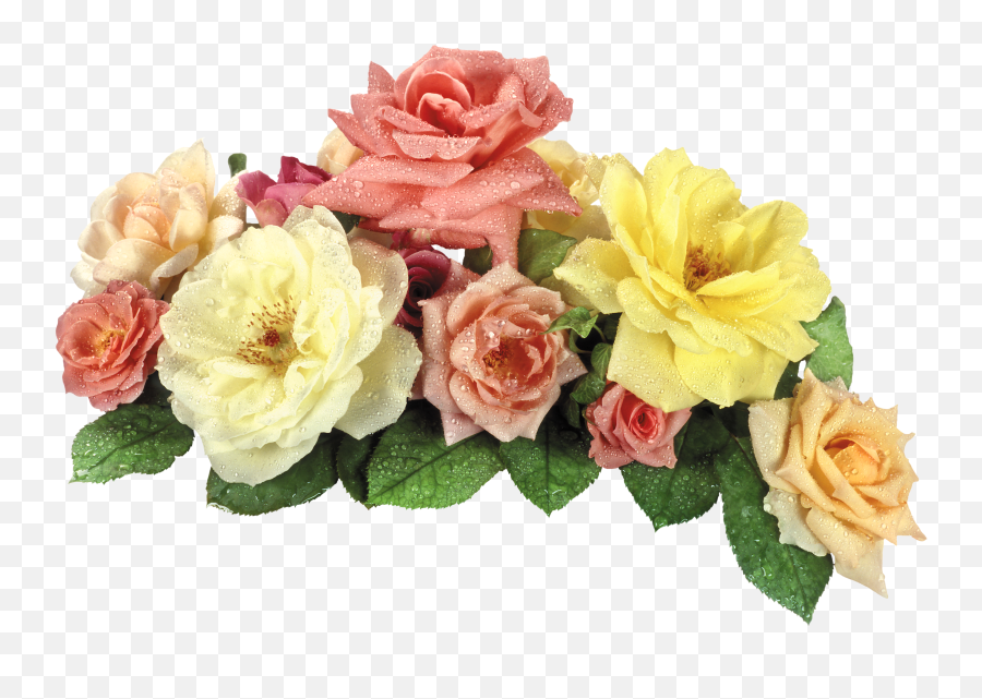 Download View Full Size - Png Format Flower Png Hd Png Image Png Format Flowers Hd Png,Flower Png Images