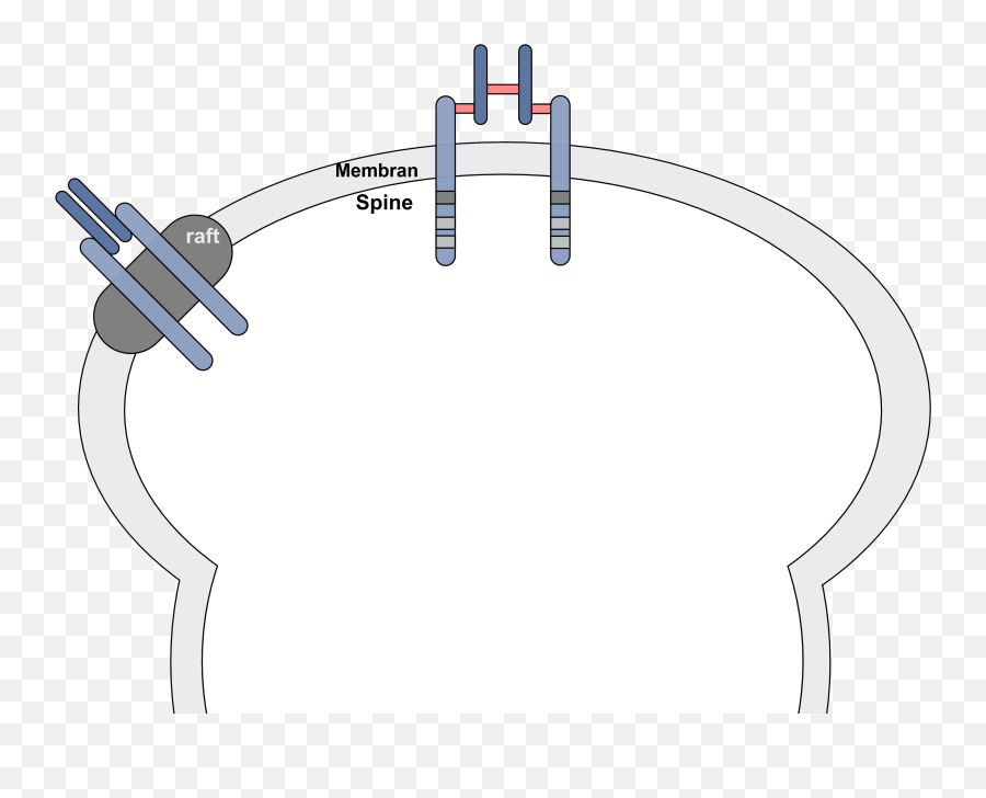 Filegm - Raft Irpng Wikimedia Commons Diagram,Raft Png