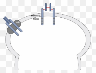 Filegm - Raft Irpng Wikimedia Commons Diagram,Raft Png