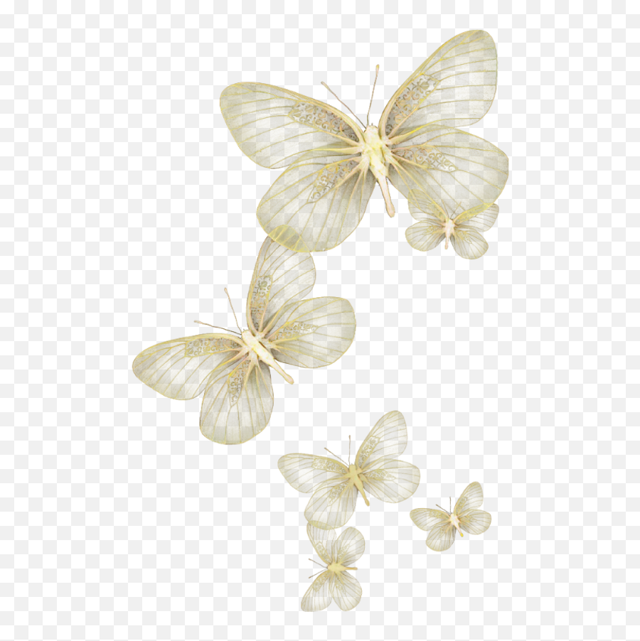 Download Butterfly Wing Moth Fly Sky Yellow Glitter Wind - Clear Background Butterfly Png Transparent,Butterfly Wing Png
