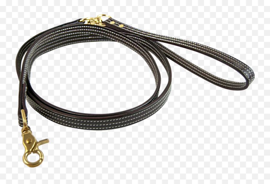 British Dog Leash - Usb Cable Png,Leash Png