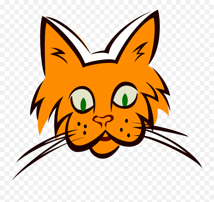 Cat Face Orange - Whisker Clipart Png,Cat Whiskers Png