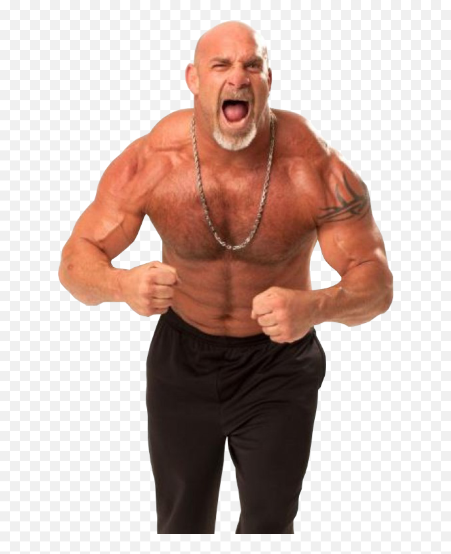 Bill - Bill Goldberg Png,Goldberg Png