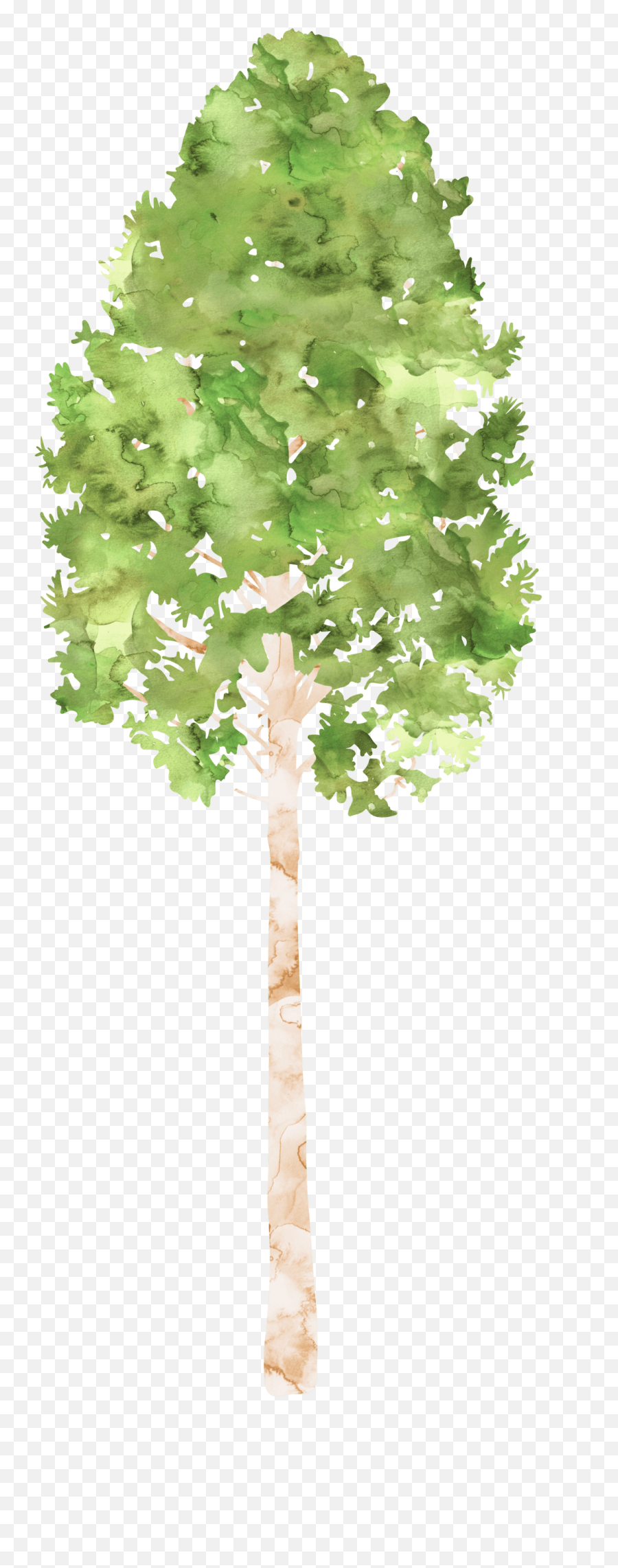 Png - Tree Water Color Png,Watercolor Tree Png