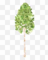 Png - Tree Water Color Png,Watercolor Tree Png