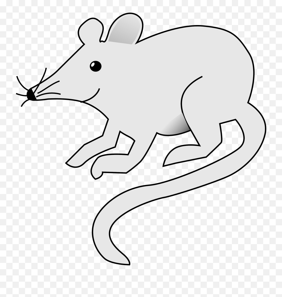 White Stock Rat Transparent Frames - Mouse Clip Art Png,Rat Transparent