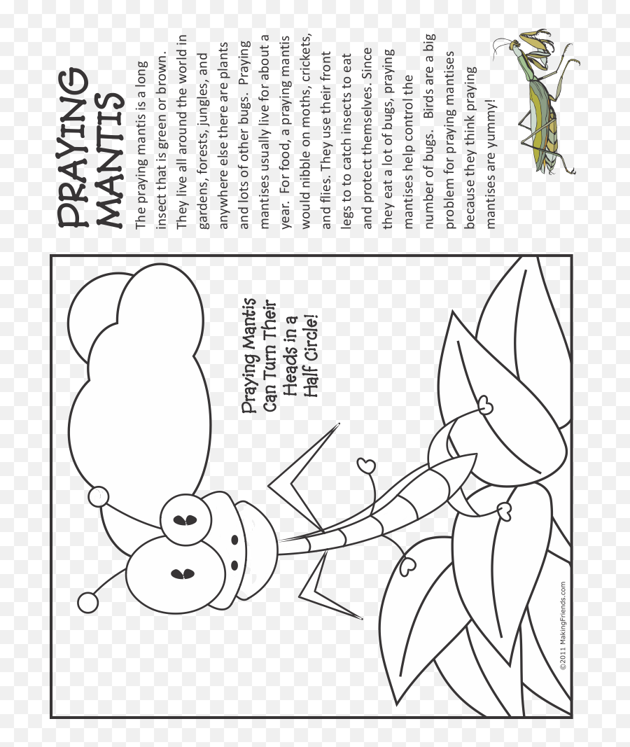 Bug Coloring Page Praying Mantis - Makingfriends Praying Mantis Fact Sheet Kids Png,Praying Mantis Png