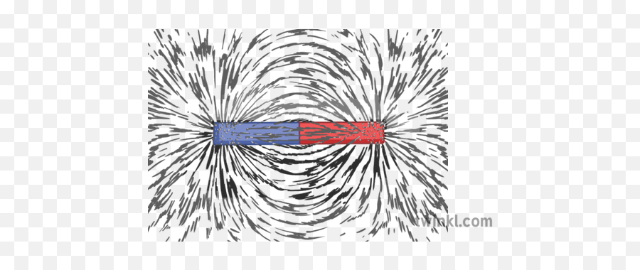 Magnetic Field Around A Magnet Illustration - Twinkl Magnetic Field Around A Magnet Png,Magnet Png