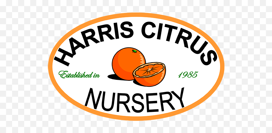 Harris Citrus Nursery - Home Bergamot Orange Png,Citrus Png