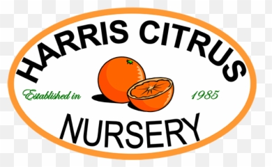 Harris Citrus Nursery - Home Bergamot Orange Png,Citrus Png
