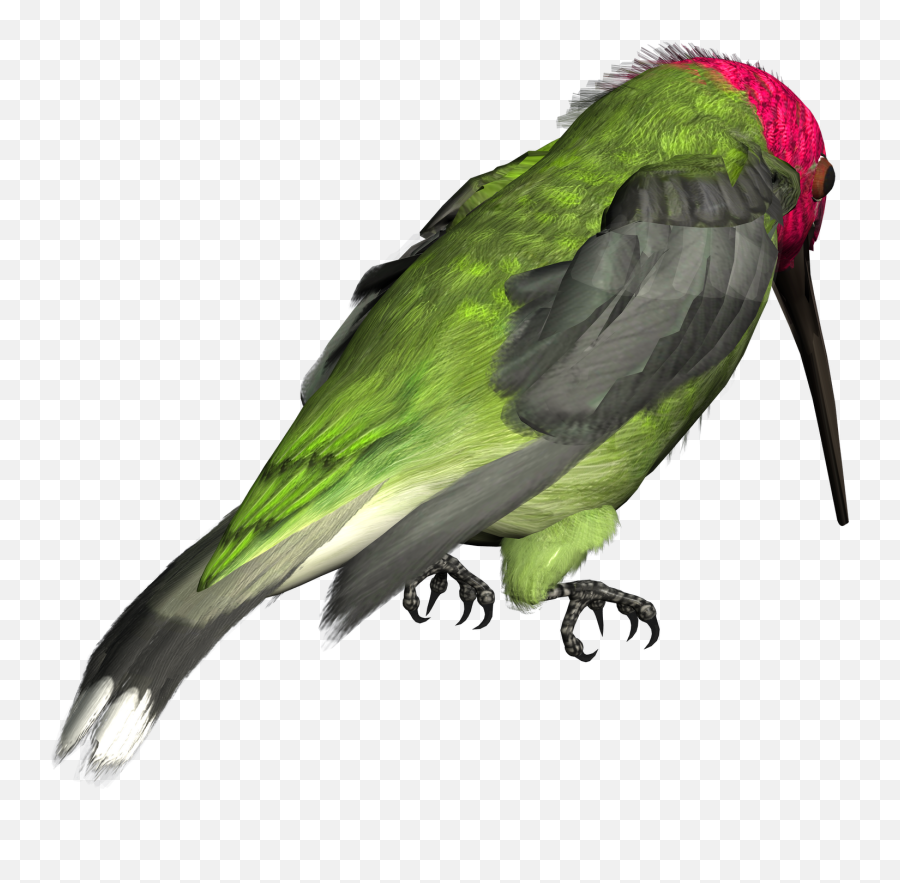 Hummingbird Png Picture - Clip Art,Hummingbird Png