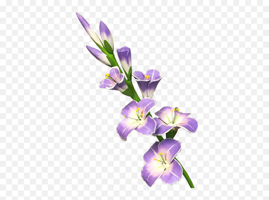Gladiolus Png Transparent Picture Mart - Gladiolus Clipart,Iris Flower Png