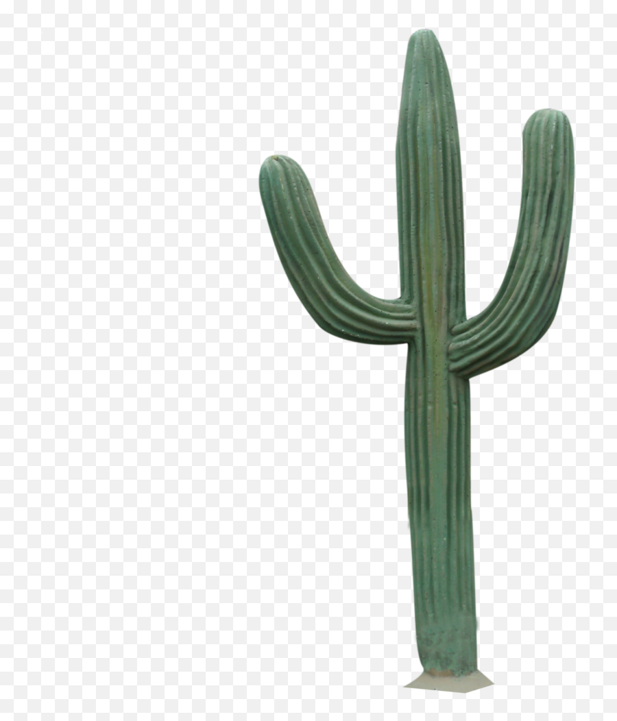 Cactaceae Clip Art - Cactus Png,Tumblr Cactus Png