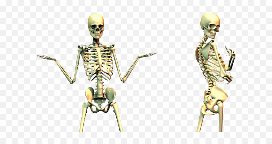 File Transparent Png Clipart Free - Skeleton Standing Png Transparent,Bones Png