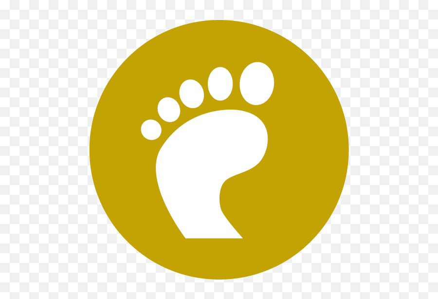 Foot And Ankle - Atlantic Orthopaedic Specialists Footprints In The World Png,Foot Icon