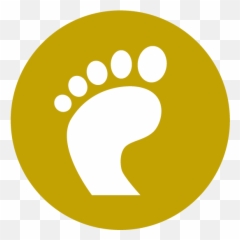 Foot And Ankle - Atlantic Orthopaedic Specialists Footprints In The World png