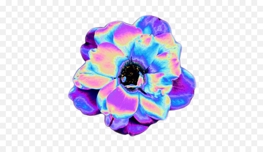 Psychedelic Flower Aesthetic Aestheticedit - Vaporwave Aesthetic Transparent Flowers Png,Psychedelic Png
