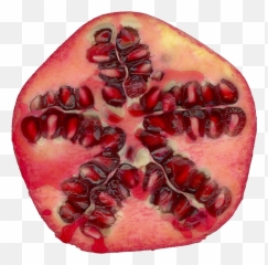 Pomegranate Png - Pomegranate,Pomegranate Transparent