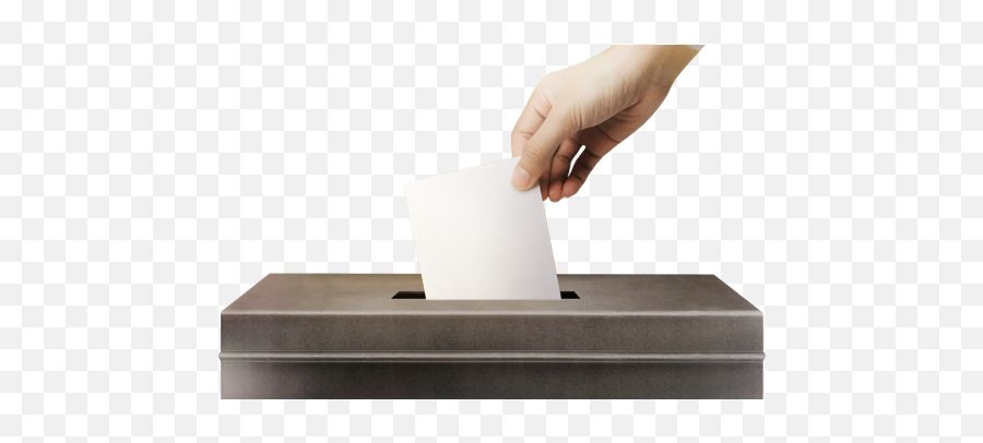 Your Voice Is Important And Vote Matters Disability - Plywood Png,Ballot Box Png