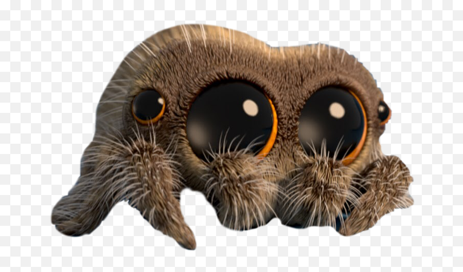 Cute Spider Animal Insect Ftestick - Spider Png,Cute Spider Png