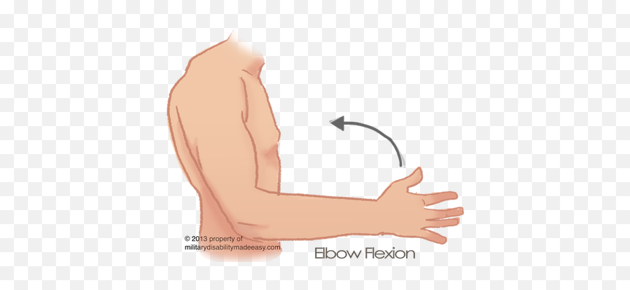 Shoulder Arm Transparent Png - Shoulder Arm Png,Muscle Arm Png