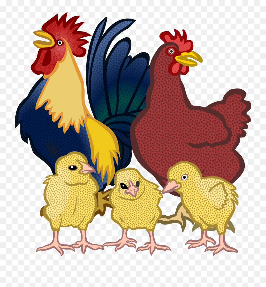 Hen Vector Head Transparent Png - Chickens Clipart,Chicken Head Png