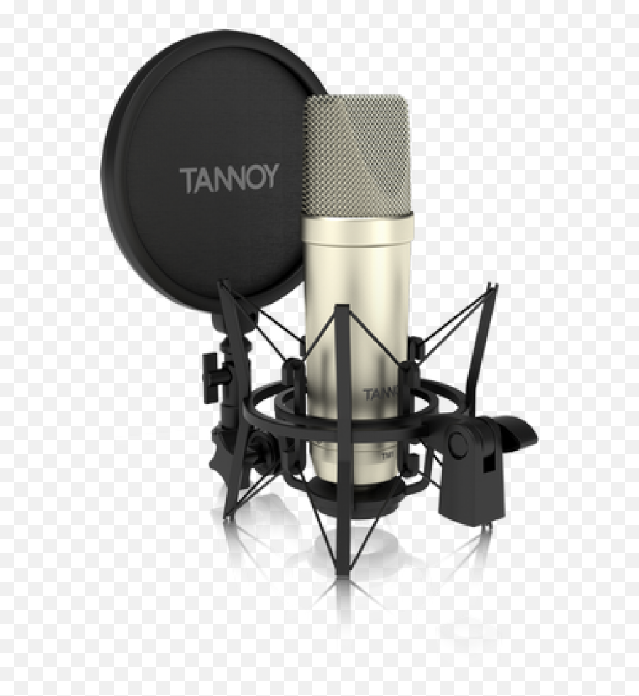 Tannoy Tm1 Complete Recording Package With Large Diaphragm - Tannoy Tm1 Specs Png,Studio Mic Png