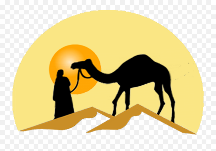 Camels In The Desert Png Transparent - Desert Camel Png Hd,Camel Transparent