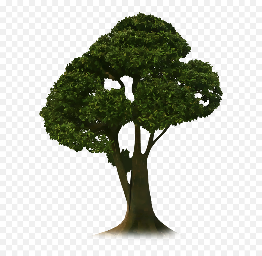 Crop Tree Png - Transparent Tree Picsart,Flower Pot Png