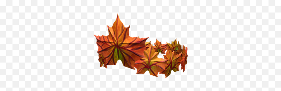Crown Of The Fall Roblox Wikia Fandom - Maple Leaf Png,Fall Png