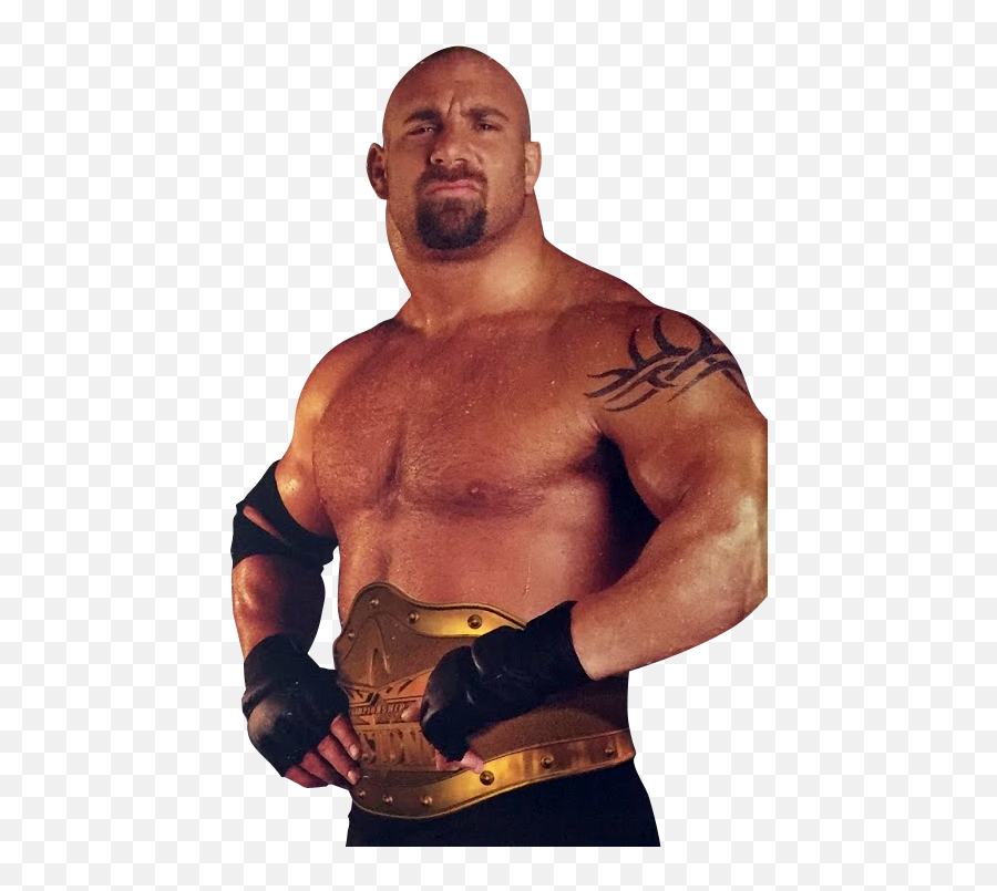 Download Goldberg - Goldberg Png Render,Goldberg Png