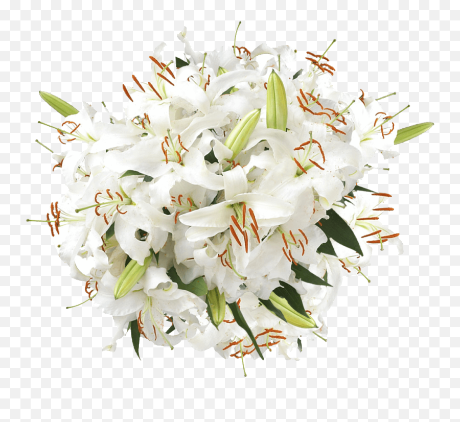 Fresh White Lily Flowers Free Shipping - Bouquet Png,White Lily Png