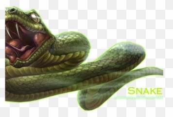 Rattlesnake Png Transparent Images - Python,Rattlesnake Png