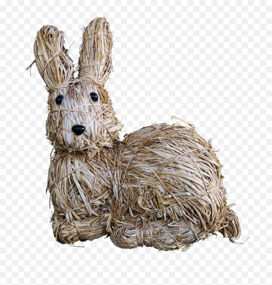 Download Hd Easter Bunnyrabbit Earsstrawbound - Lievre Easter Png,Rabbit Ears Png