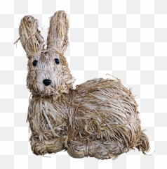 Download Hd Easter Bunnyrabbit Earsstrawbound - Lievre Easter Png,Rabbit Ears Png