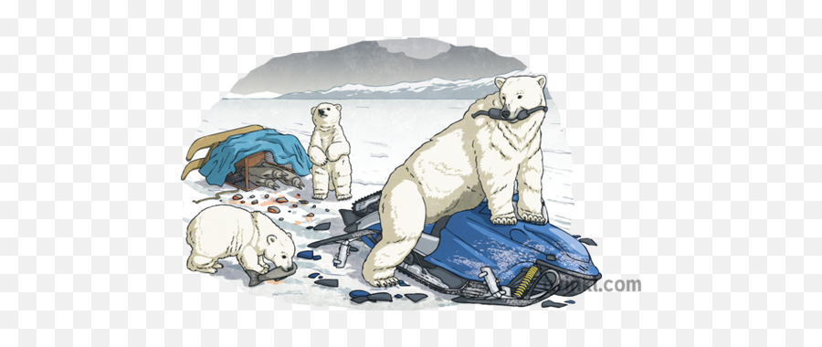 Polar Bear And Cubs Attack Snowmobile Ice Fishing Inuit - Polar Bear Png,Ice Bear Png