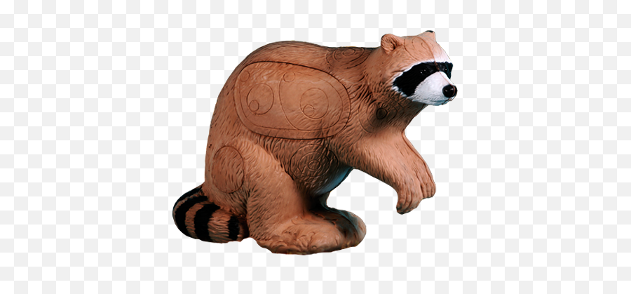 Rinehart Raccoon Archery Target - Raccoon Png,Racoon Png Rinehart Raccoon Archery Target - Raccoon Png,Racoon Png
