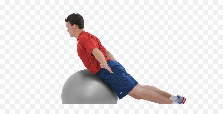 Swiss Exercise Ball The Original Swissball By Theragear - Gym Ball Exercises Advanced Png,Exercise Png