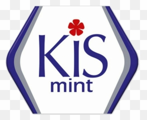 Category1997 Logopedia Fandom - Permen Kis Png,Majik Ninja Entertainment Logo