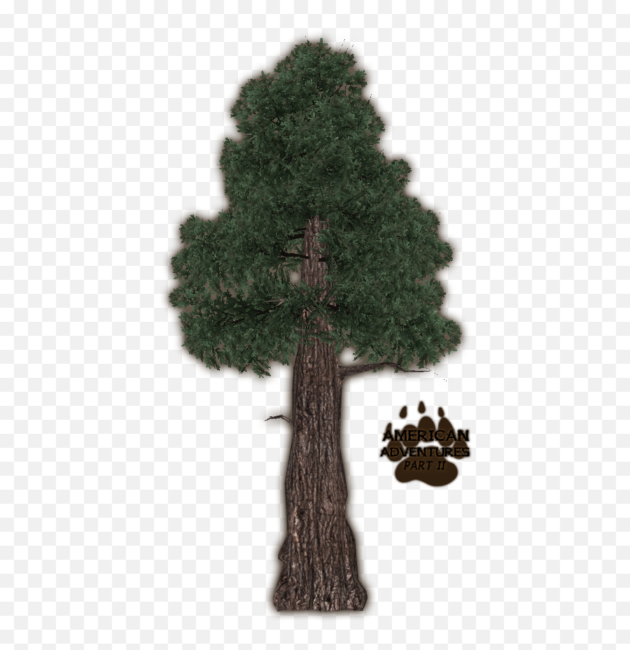 Zt2 Download Library Wiki - Zoo Tycoon 2 Coast Redwoods Png,Redwood Tree Png