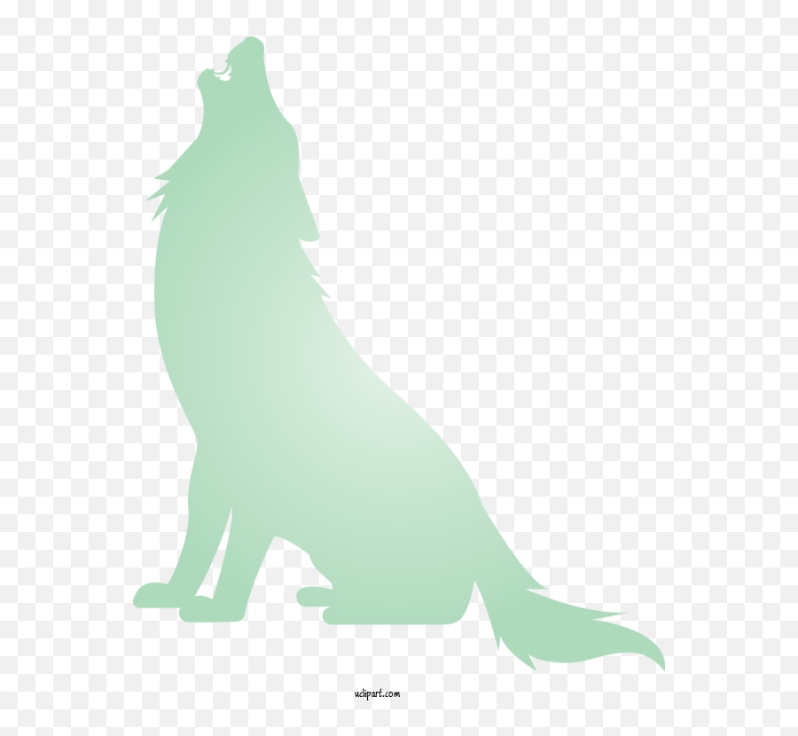 Animals California Sea Lion Green Fur Seal For Wolf - Wolf Coyote Png,Sea Lion Png