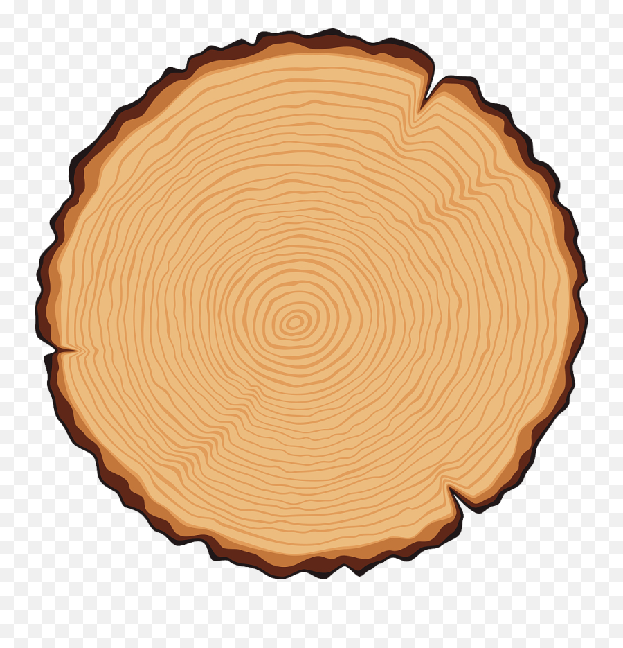 Logo De Tronco Png Clipart - Tree Rings Clipart,Wood Grain Png