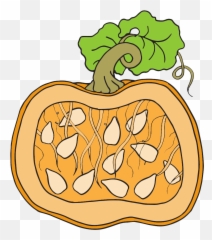 Pumpkin Clipart - Homeschool png